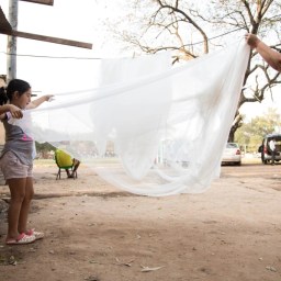 Como abrigos apoiam a prevenção de doenças