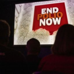 Celebrando o progresso