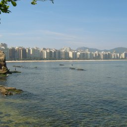 Cinco perguntas sobre projetos ambientais