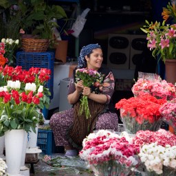 Projeto “Retomando a Economia”