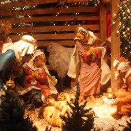 “Despedida de 2020. O que o próximo ano nos reserva?”