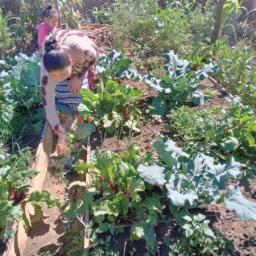 Boa nutrição e assistência médica antes do segundo ano de vida dos bebês